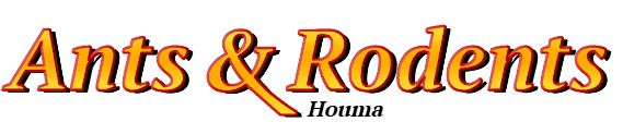 Houma Ant Exterminator & Rodent Control Company Logo